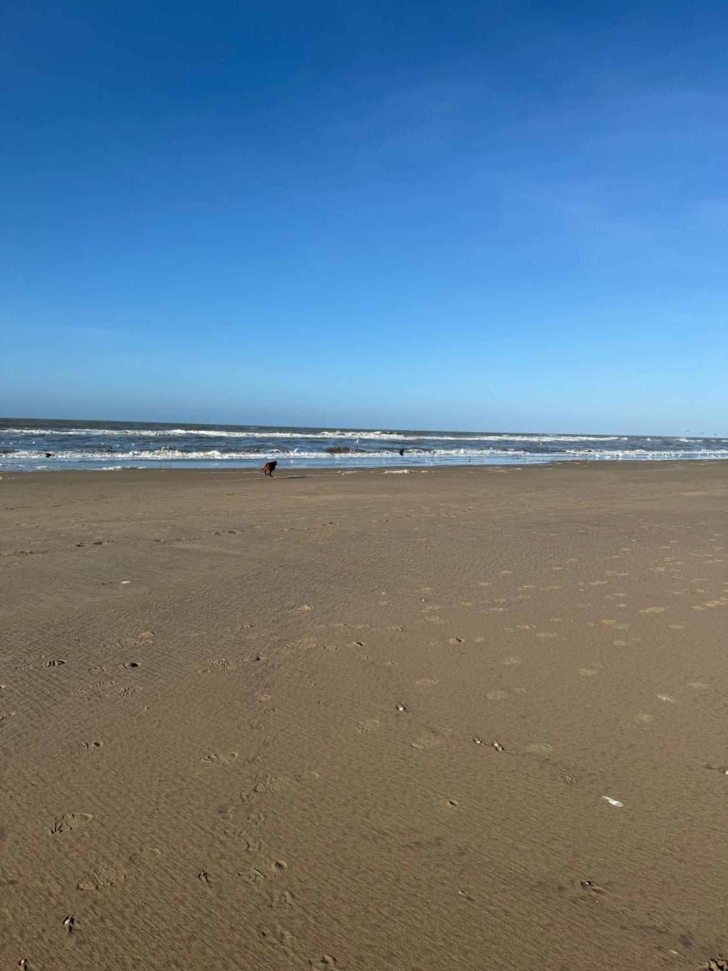 Guesthouse West Noordwijk Kültér fotó