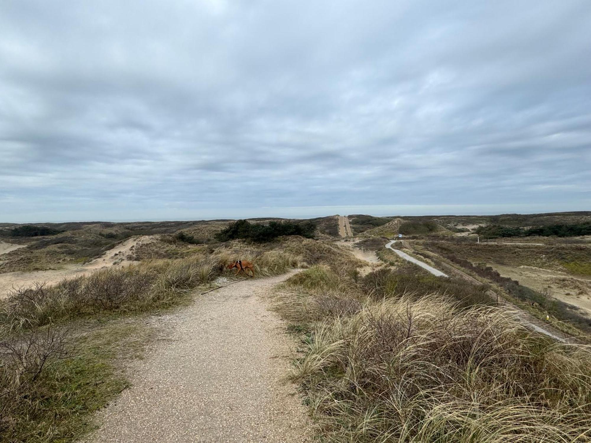 Guesthouse West Noordwijk Kültér fotó
