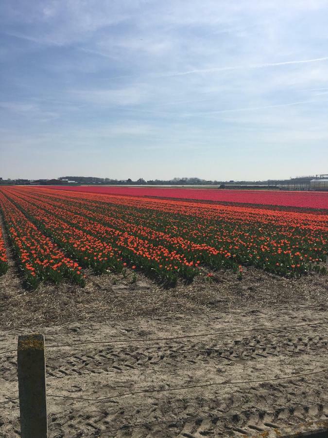 Guesthouse West Noordwijk Kültér fotó